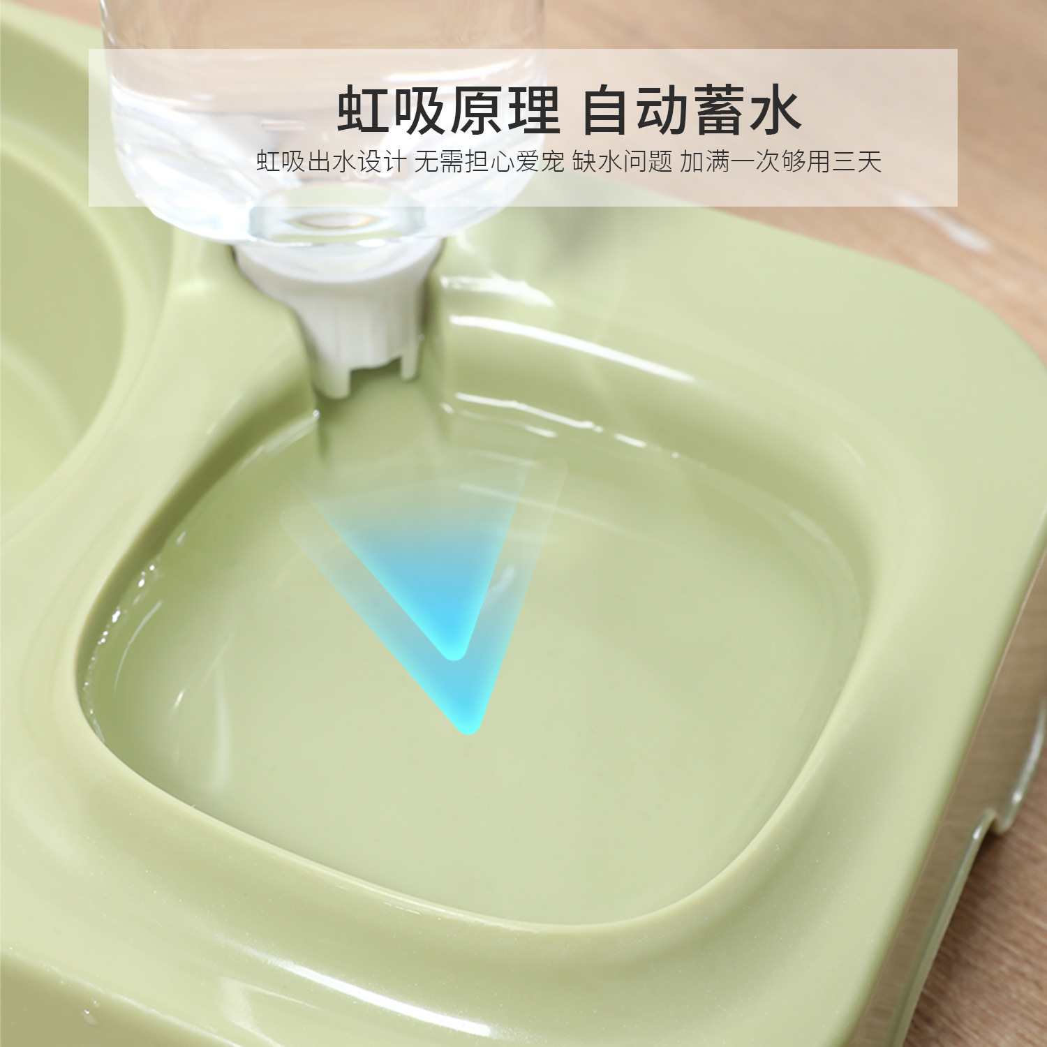 Integrated Pet Double Bowl Foo - Baby Food Cat ulasan dan harga