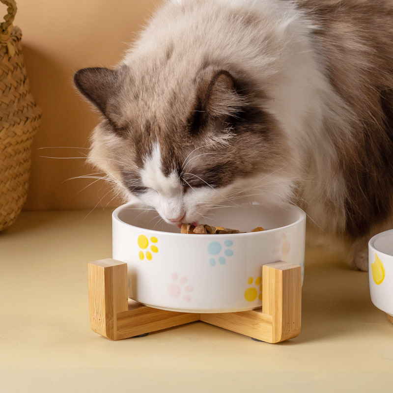 Ceramics Dog Bowl with Wood Ma - Baby Food Cat ulasan dan harga