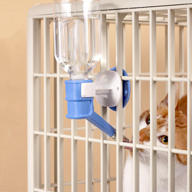 Pet Dog Cat Water Dispenser No - Baby Food Cat ulasan dan harga
