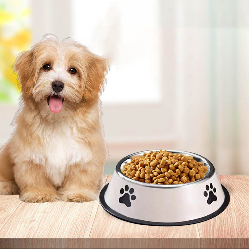 Stainless Steel Pet Bowl Cat B - Baby Food Cat ulasan dan harga
