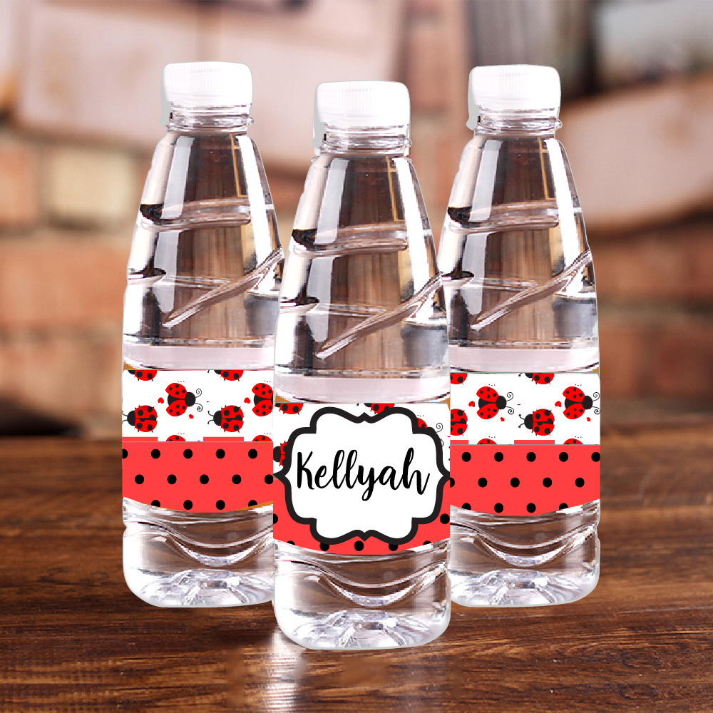 Personalised Ladybug Red Polka - Baby Food Processor ulasan dan harga